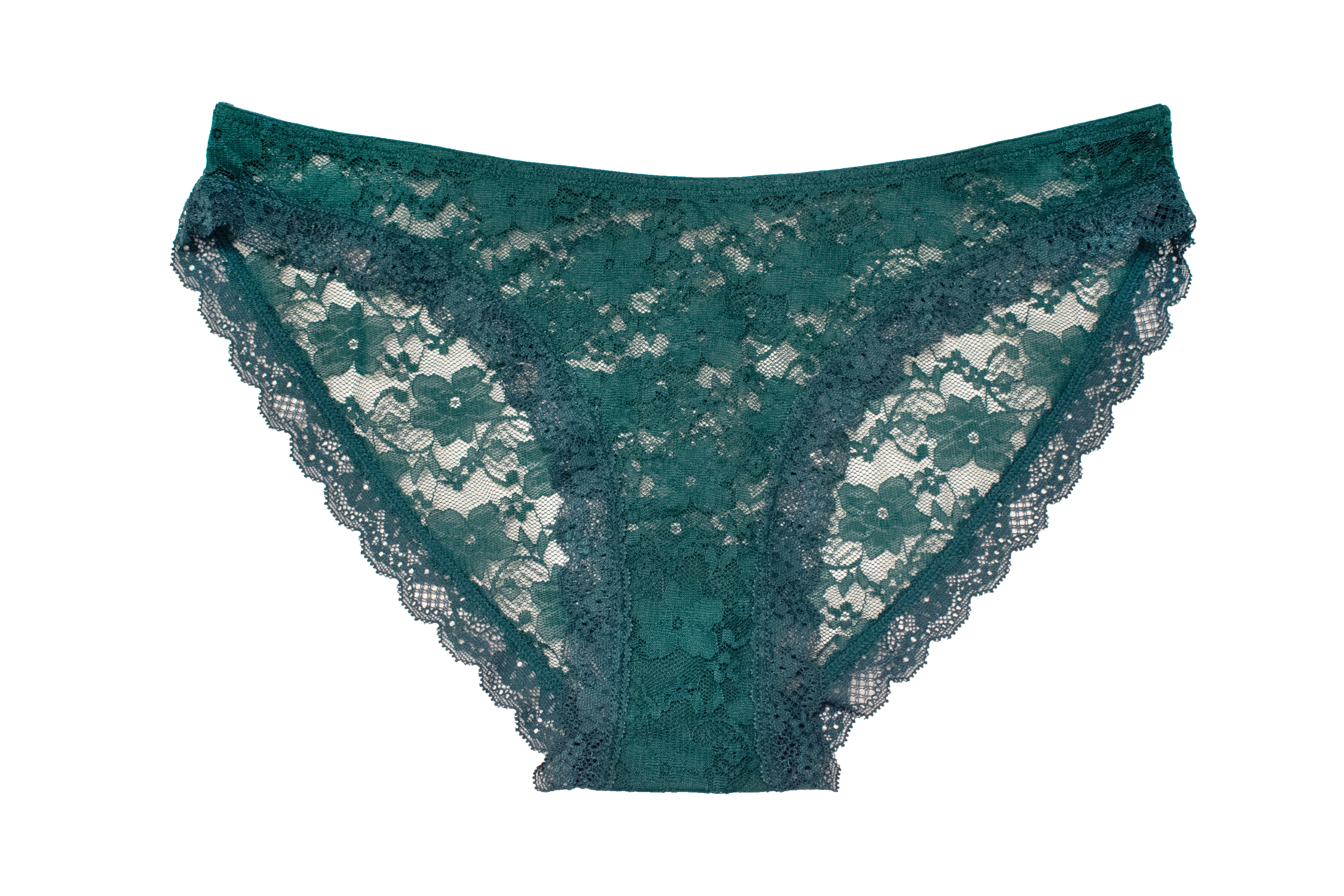 Mesh and Lace Panties